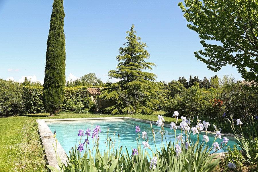 luxury holiday south of france