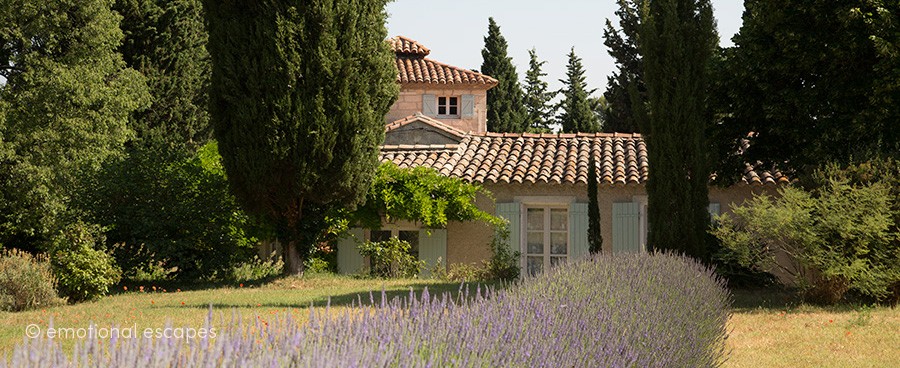 Provence  luxury villa rentals- Summer 2015